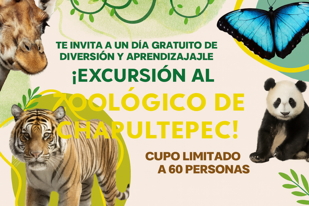 excursion-consejeria-chapultepec-web